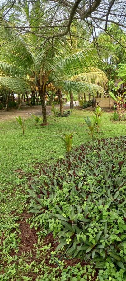 Selong Belanak Bungalows Экстерьер фото